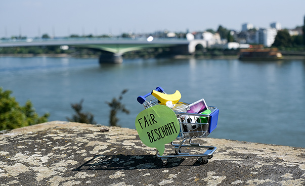 Ein befüllter Miniatur-Einkaufswagen steht auf einem moosbedeckten Stein, im Hintergrund sind der Rhein und die Bonner Kennedybrücke unscharf zu erkennen.