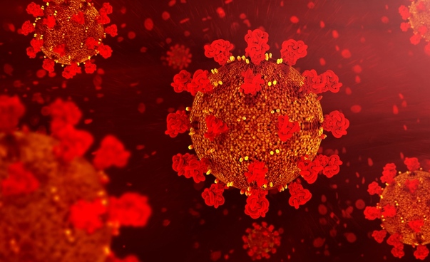 Mikroskopisches Bild  mehrerer Viren, die das Coronavirus symbolisieren sollen. Foto: Dreamstime