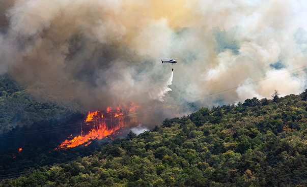 Ein Waldbrand mit großer Rauchentwicklung hinter grünen Hügeln; ein Löschflugzeug versprüht Wasser.