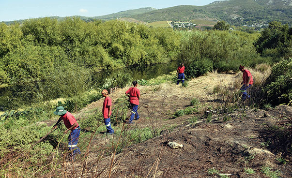 Fünf Personen in blauen Hosen und roten Oberteilen bei der Arbeit auf einer Grünfläche.