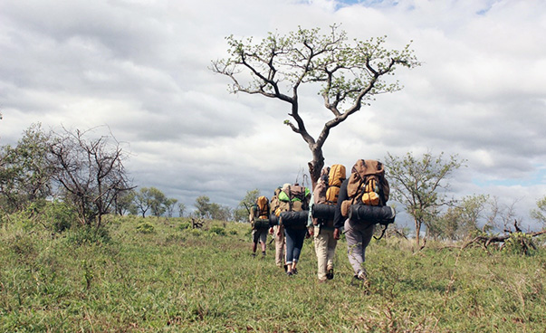 Eine Gruppe mit Rucksäcken ist von hinten in einer Savannenlandschaft mit Baum zu sehen.