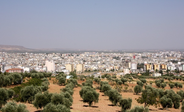 Blick auf die anatolische Stadt Kilis mit einem Olivenhain im Vordergrund.