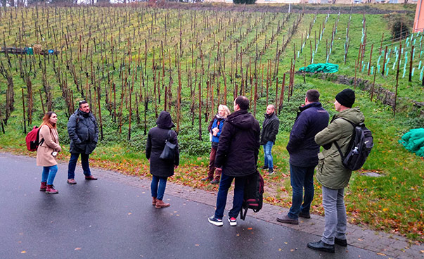 Eine kleine Gruppe unterhält sich; im Hintergrund sind Weinstöcke zu sehen.