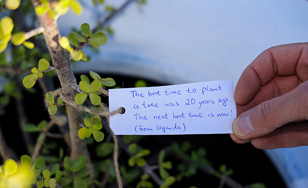 Ein Zettel mit der Aufschrift „The best time to plant a tree was 20 years ago. The next best time is now!“ ist an einem Baum befestigt.