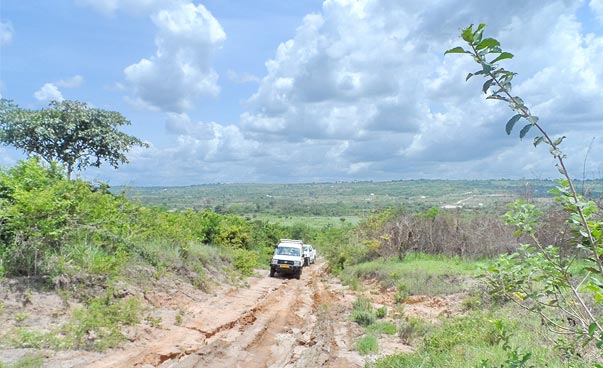 Geländewagen fahren über eine nicht asphaltierte Straße in Tanzania.
