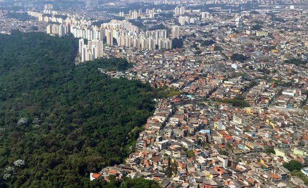 Blick von oben auf Sao Paulo; die Wohnbebauung reicht bis an einen dichten Wald.